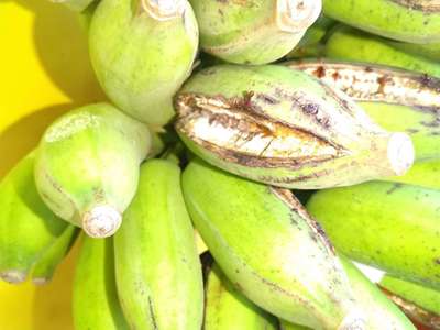 Fruit Cracking - Banana