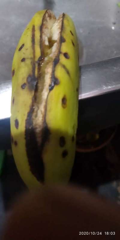 Fruit Cracking - Banana